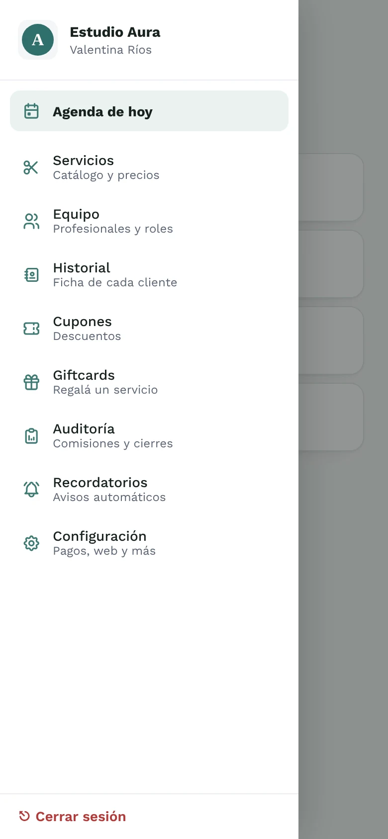 Menú del panel en el celular